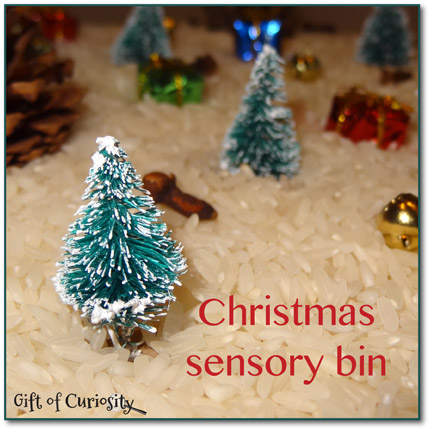 Christmas sensory bin >> Gift of Curiosity