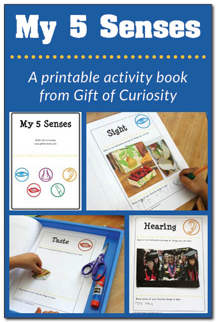 Five senses activities: A printable My 5 Senses activity book plus a link to a five senses sorting activity #5senses #handsonlearning || Gift of Curiosity