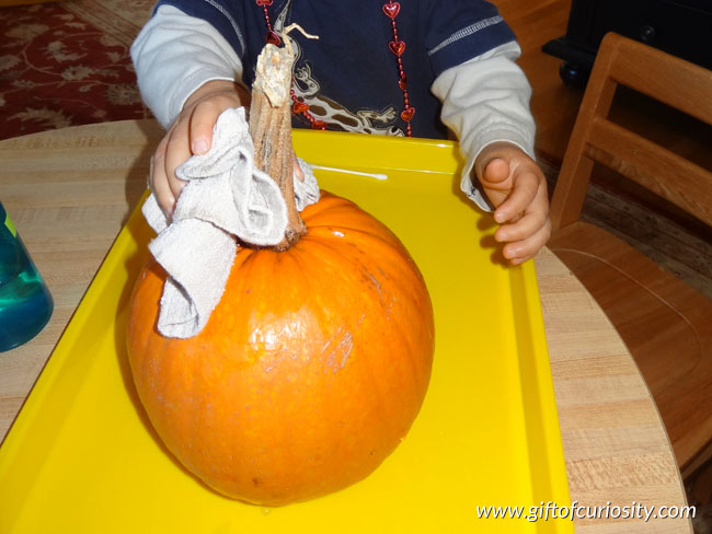 Fine motor activities with pumpkins 3 - pumpkin polishing