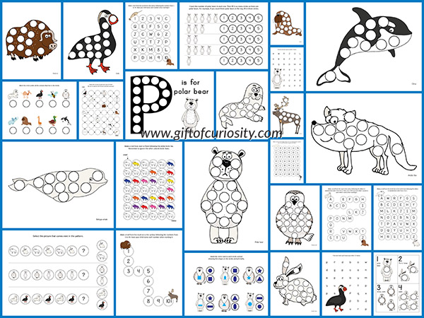 Arctic Animals Do-a-Dot Printables: 26 pages of Arctic animals do-a-dot worksheets for kids ages 2-6 with activities that focus on one-to-one correspondence, shapes, colors, patterning, letters, and numbers. || Gift of Curiosity