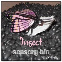 Insect sensory bin