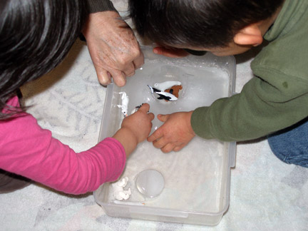 Arctic animals learning activities: Arctic ice sensory play to learn about Arctic habitats || Gift of Curiosity
