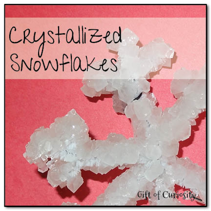 Crystallized snowflakes || Gift of Curiosity