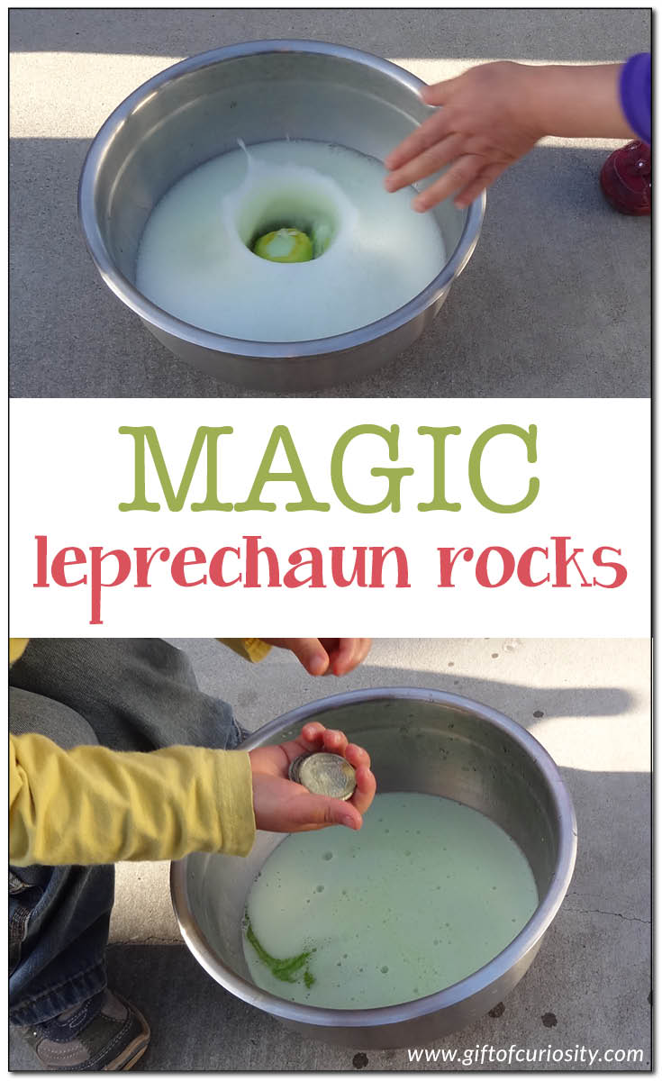 Bring a little magic to St. Patrick's Day by making magic leprechaun rocks that fizz and dissolve when washed, leaving leprechaun gold behind | St. Patrick's Day activities for kids | leprechaun activities for children || Gift of Curiosity