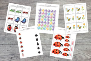 Insects Printables Pack - Gift of Curiosity