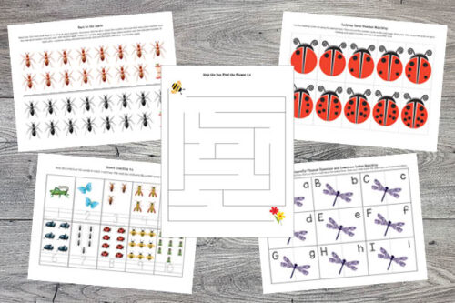 Insects Printables Pack - Gift of Curiosity