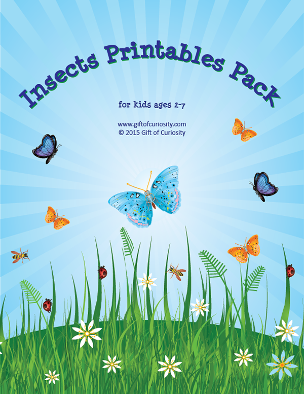 Insects Printable Pack with 75 activities for kids ages 2-7 focused on shapes, sizes, colors, sorting, puzzles, mazes, fine motor, math, and literacy. What a great pack for a preschool or kindergarten insect unit. This pack has it all! || Gift of Curiosity