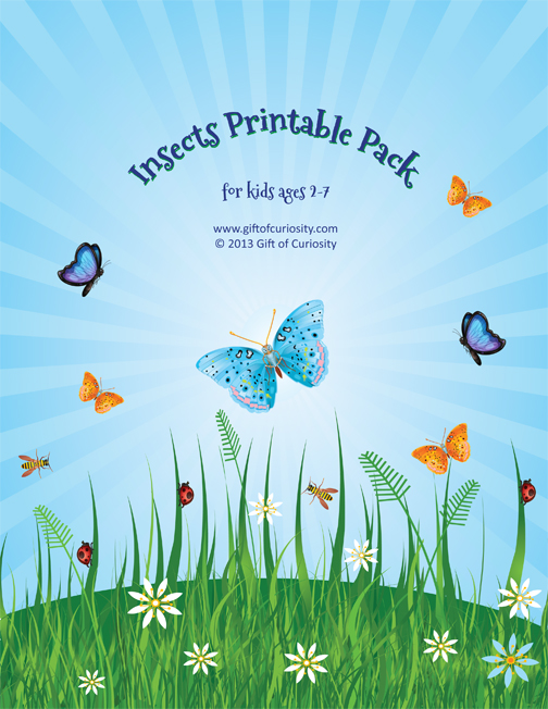 Insect Printable Pack for kids ages 2-7 || Gift of Curiosity