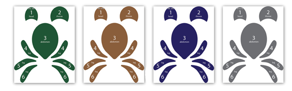 Parts of an insect printable game || Gift of Curiosity