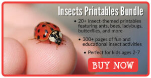 Insects Roll & Cover Math Games - Gift of Curiosity