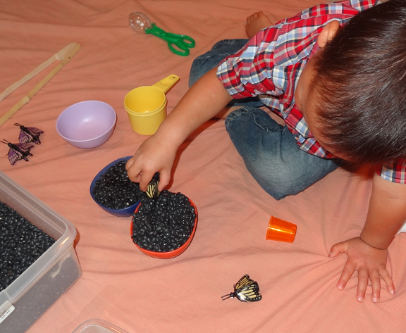 Insect sensory bin || Gift of Curiosity