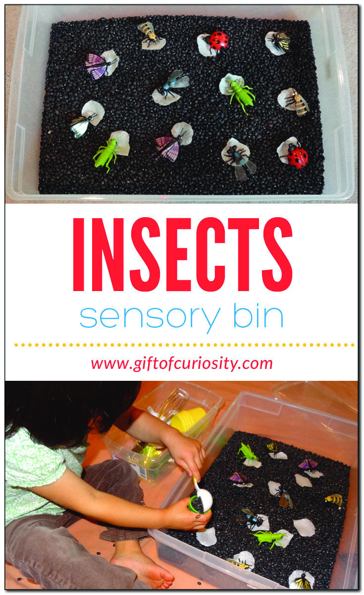 Insect sensory bin for endless hours of insect-themed fine motor development, creative exploration, and sensory play | #sensoryplay #sensorybins #sensorytub #insects #preschool #ece || Gift of Curiosity