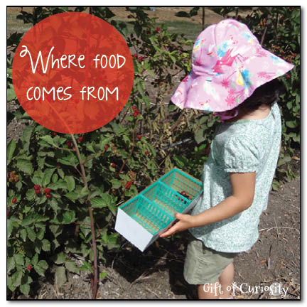 Activities and books for teaching kids where food comes from || Gift of Curiosity