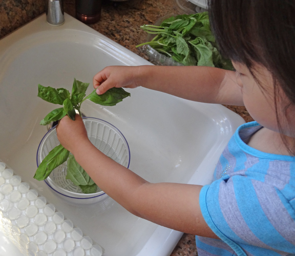 9 practical life activities involving food - washing fresh basil || Gift of Curiosity