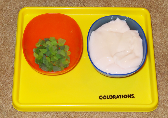 Ocean Montessori trays - fun with sea glass and flubber || Gift of Curiosity