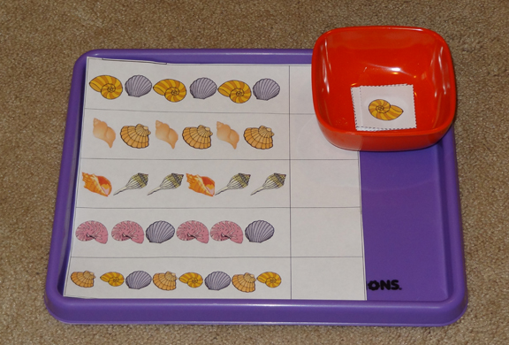 Ocean Montessori trays - shell sequencing || Gift of Curiosity