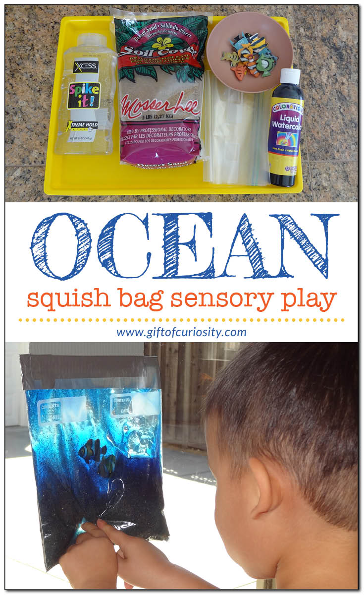 Make an ocean in a bag | Ocean sensory play | Ocean squish bag || Gift of Curiosity
