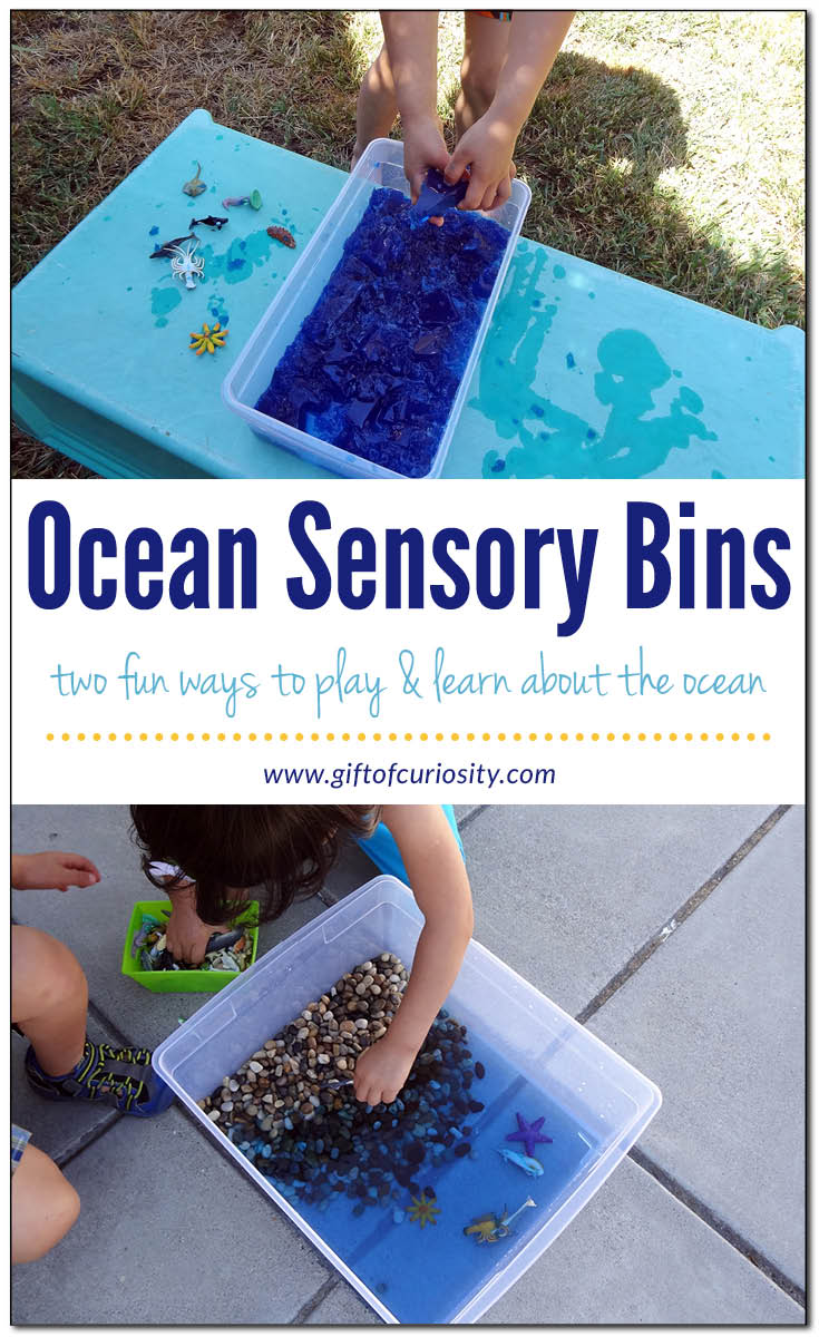 Ocean sensory bins | Ocean sensory play || Gift of Curiosity