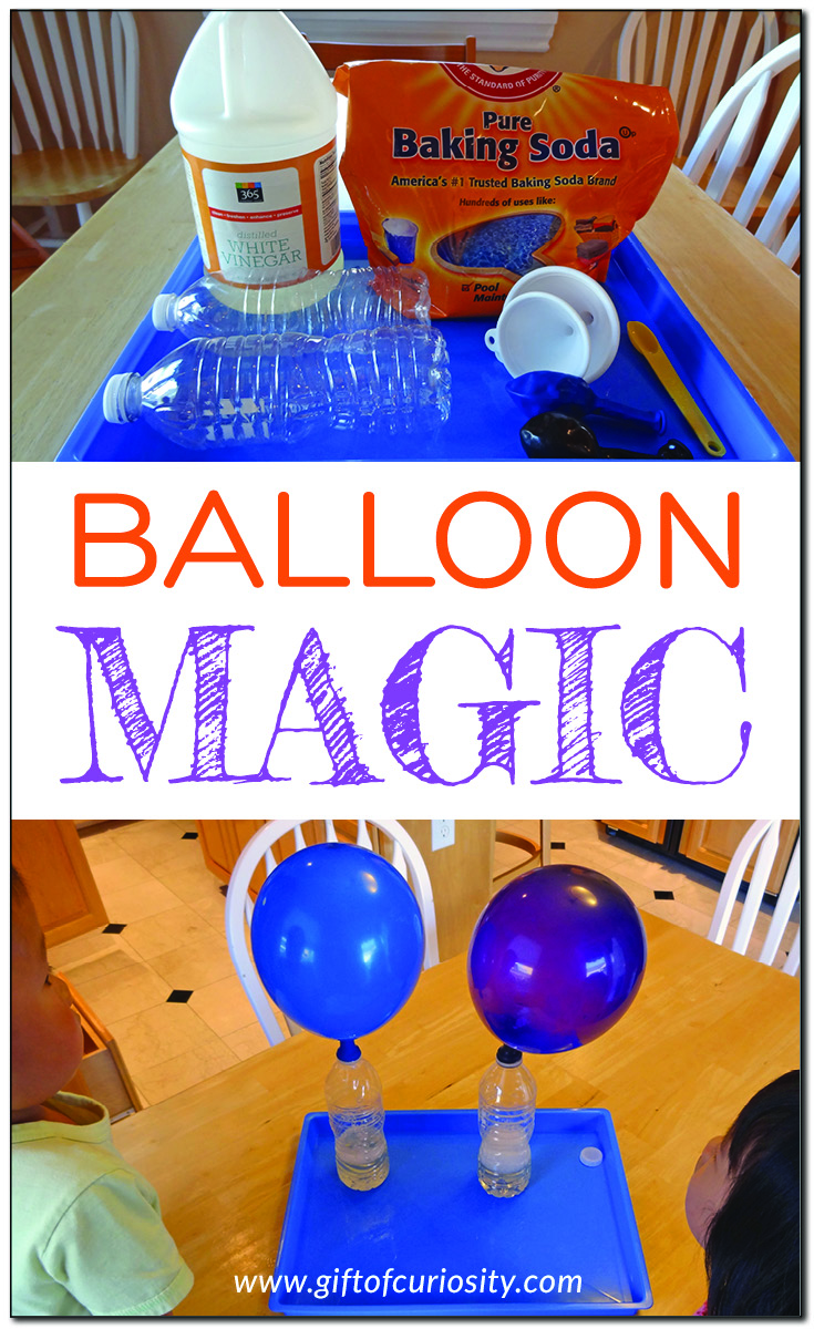 Balloon magic - a fun science activity where you inflate a balloon using baking soda and vinegar #STEM #STEAM #handsonlearning #giftofcuriosity || Gift of Curiosity