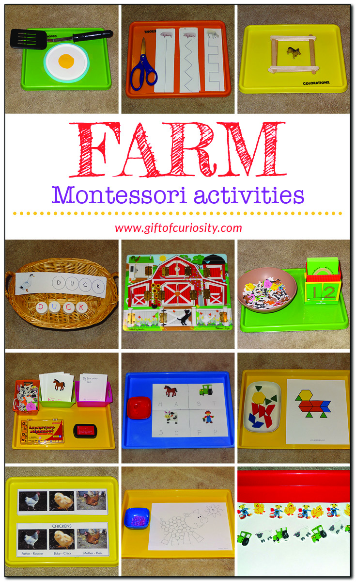 A collection of 12 farm-themed Montessori trays for a preschool farm unit #farm #Montessori #giftofcuriosity #preschool || Gift of Curiosity