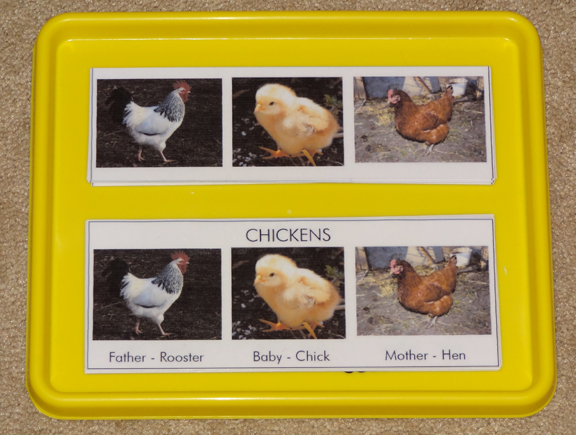 Farm Montessori tray: Farm animal families || Gift of Curiosity
