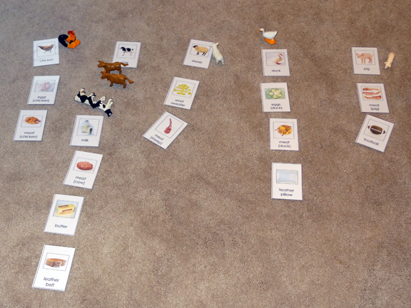 Learning about farm animals using free printable cards about farm animals and their by-products || Gift of Curiosity