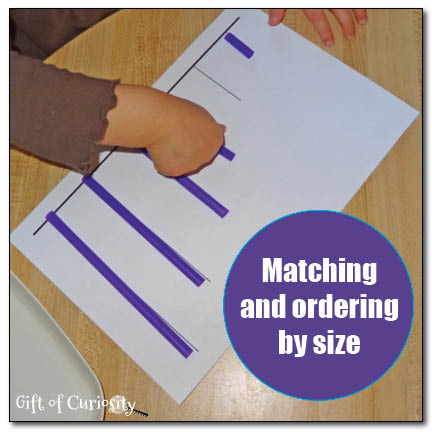 Matching and ordering by size - a free printable to support this early math skill for toddlers and preschoolers from Gift of Curiosity