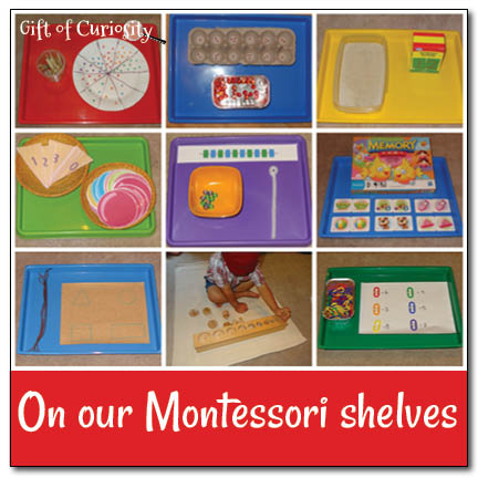 9 Montessori trays and activities currently on our shelves || Gift of Curiosity