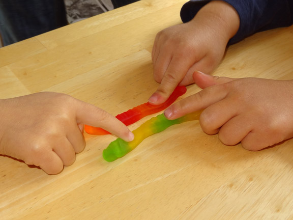 Candy experiments for kids: The Incredible Growing Gummi Worm #handsonlearning #candyexperiments || Gift of Curiosity