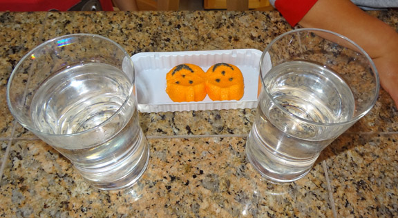 Candy experiments for kids: Experimenting with Peeps in water #handsonlearning #candyexperiments || Gift of Curiosity