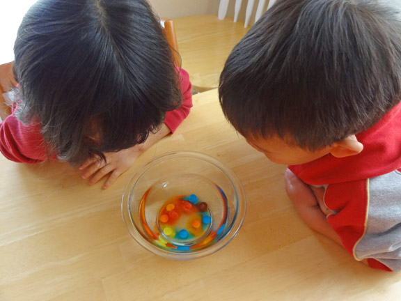Candy experiments for kids: Floating Letters off of M&Ms #handsonlearning #candyexperiments || Gift of Curiosity