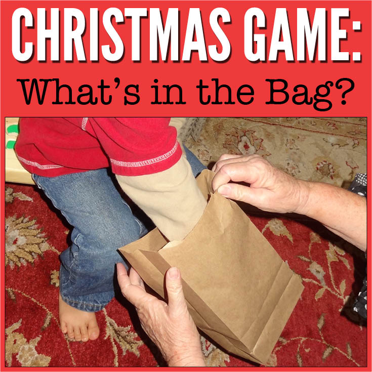 What's in the bag? is a quick, simple, and inexpensive Christmas sensory game that can be played by kids of all ages #christmas #giftofcuriosity #sensoryplay || Gift of Curiosity