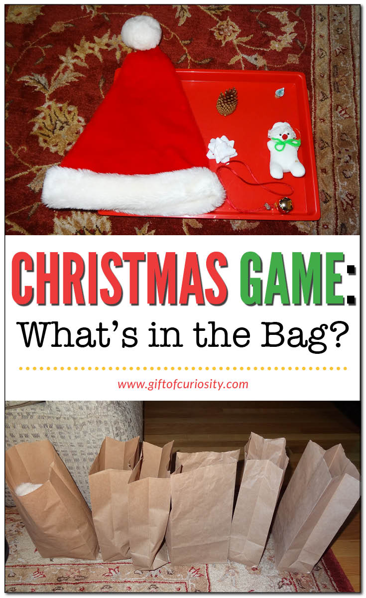 What's in the bag? is a quick, simple, and inexpensive Christmas sensory game that can be played by kids of all ages #christmas #giftofcuriosity #sensoryplay || Gift of Curiosity
