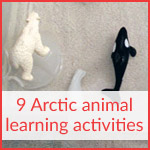 9 Arctic animal learning activities
