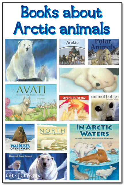 Books about polar animals with a focus on Arctic animals || Gift of Curiosity