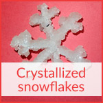 Crystallized snowflakes