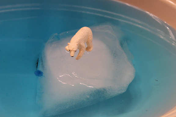 Polar animals and Arctic ice - teaching kids about Arctic animals and Arctic ice through sensory play || Gift of Curiosity