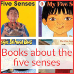Books about the five senses