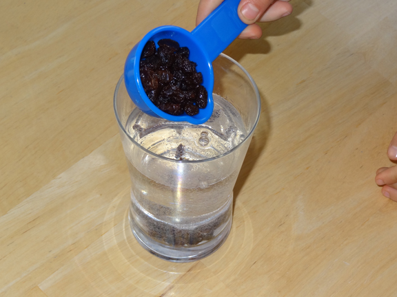 The dancing raisins experiment - add 1/3 cup raisins to a glass of clear carbonated beverage || Gift of Curiosity