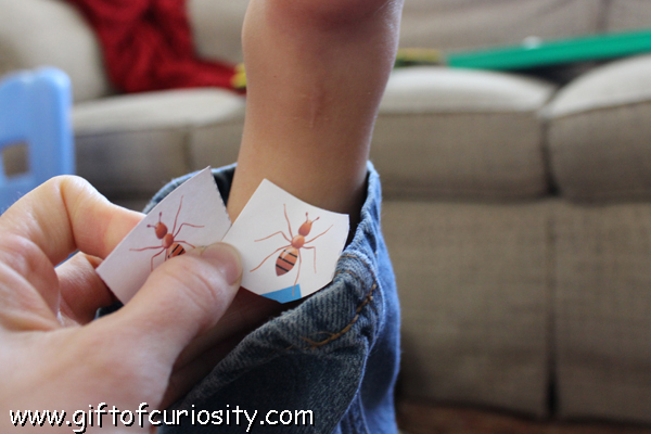 Ant Printables Pack with 60 ant-themed worksheets and activities for kids ages 2-7. This is a great resource for a preschool or kindergarten insect unit! || Gift of Curiosity