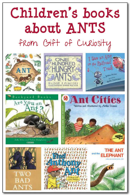 Books about #ants for kids || Gift of Curiosity