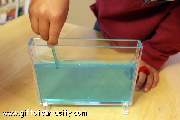 Learning about ant habitats with an ant farm #insectunit #kbn #preschoolscience || Gift of Curiosity