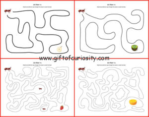 Ant Mazes {insect printables} - Gift of Curiosity