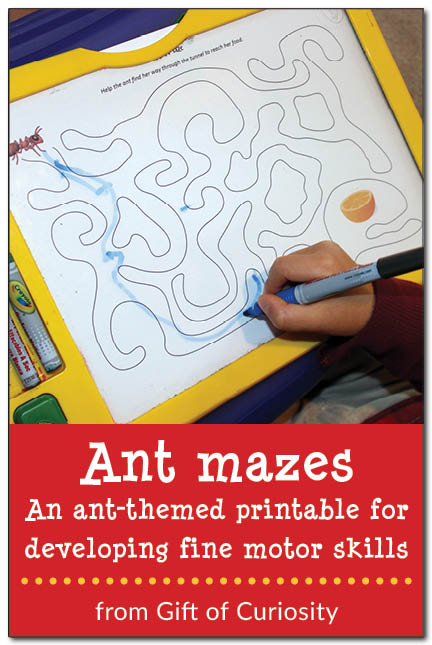 Ant mazes - an ant-themed printable for developing fine motor skills #ants #handsonlearning || Gift of Curiosity