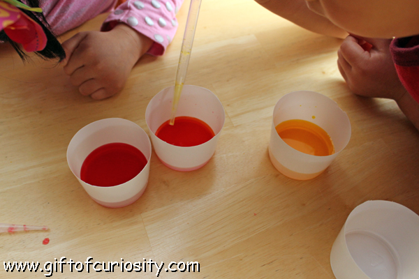 Color theory activity: A simple activity to help preschoolers understand how the primary colors combine to create secondary colors || Gift of Curiosity
