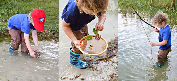 Enjoy exploring a pond from Joys of the Journey at Buggy and Buddy