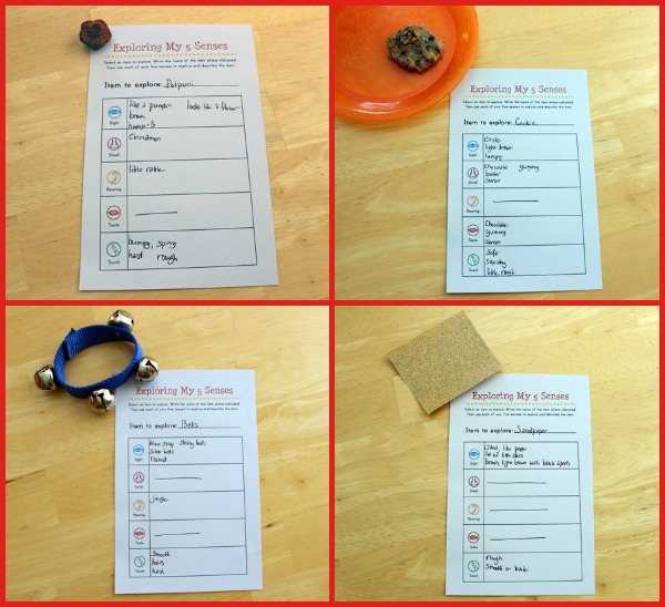 Completed Exploring With My 5 Senses worksheets