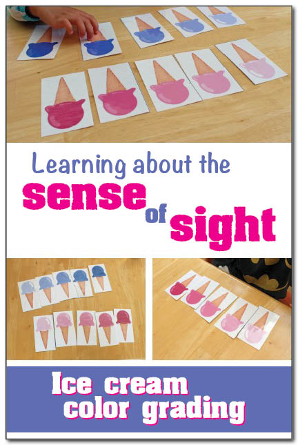 Sense of sight activity for kids: Learn about the sense of sight with books and a free printable activity where children practice ordering ice cream cones by color from lightest to darkest #freeprintable || Gift of Curiosity