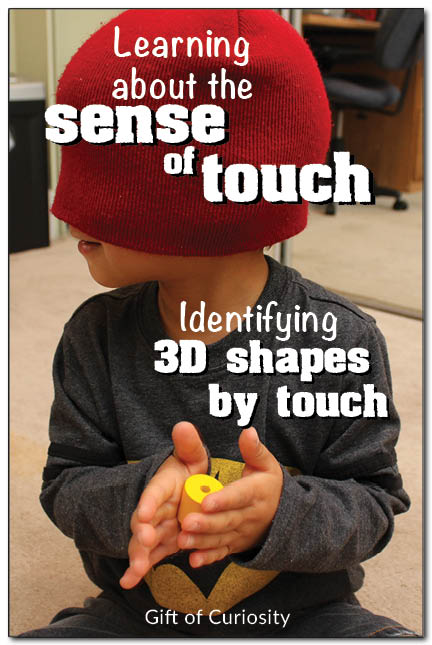 Sense of touch activity for kids: Have kids identify 3D shapes while blindfolded #fivesenses #shapes #ece #kbn || Gift of Curiosity