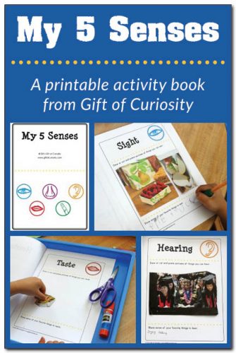 My five senses activities {free five senses printables} - Gift of Curiosity